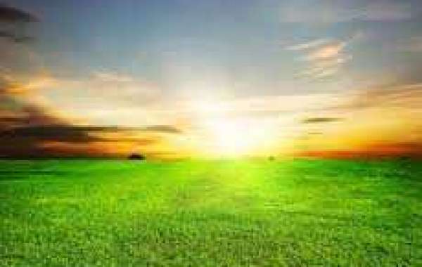 Canucks 5, Islanders 4 (Consequently): Anything nonetheless the end result