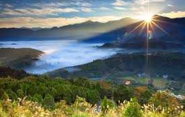 Predators combat Sabres 4-0, increase toward 14-0-1 within just remaining 15