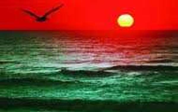 If Brayden Reality isn upon your initially quarter Hart ballot, youe messing up