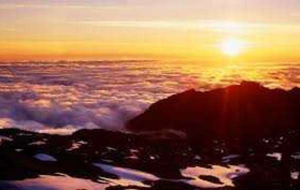 Gallant, Maurice took lengthy highway towards direct Golden Knights, Jets