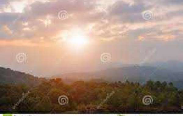 Snake Bytes 3/4: We Received A Champion!