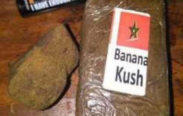 Buy Marijuana Hash Online