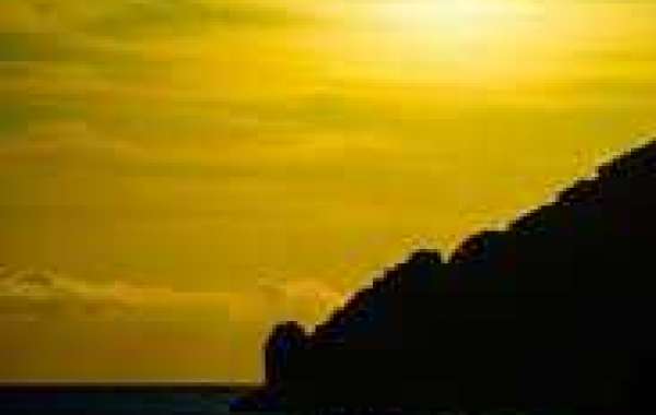 Saturday Night time Open up Thread - Memorial Working day Weekend 1