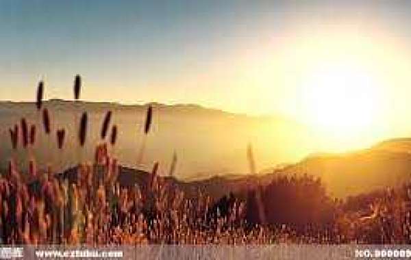 Should really the LA Clippers Exchange For Andre Drummond?