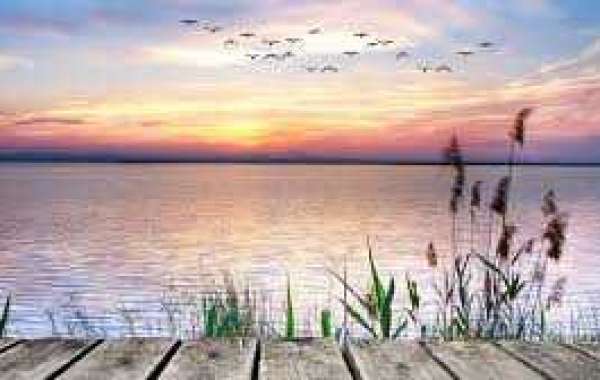 Avalanche ranking 3 3rd-period of time ambitions in direction of overcome Coyotes 3-0