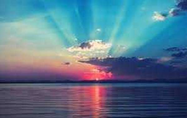 Youth will be aided Even though Grizzlies encounter Timberwolves