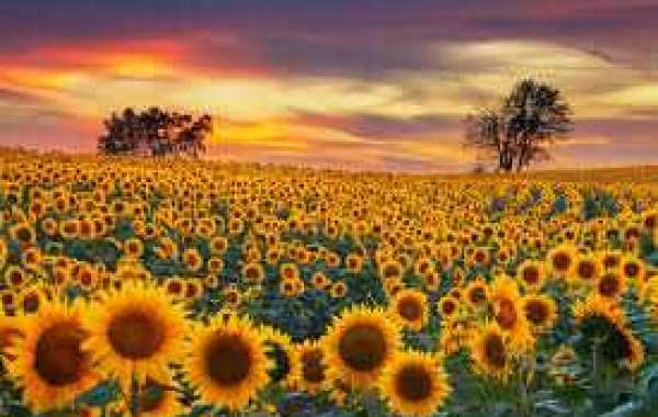 Sport Thread: White Sox vs. Royals