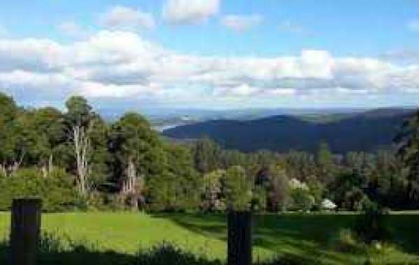 Andrew Vaughn will help White Sox rally over and above Blue Jays 6-1