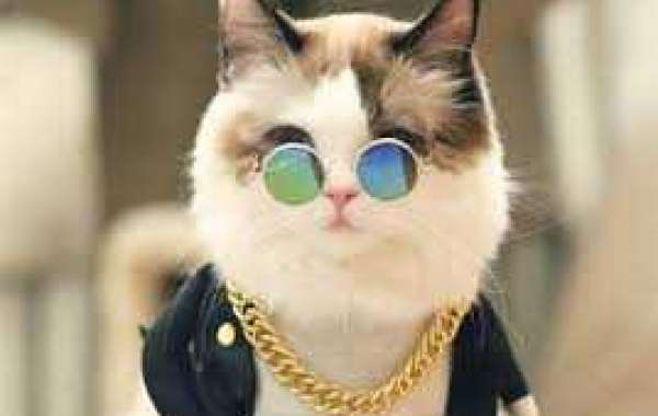 Gage Workman hits for the cycle, even though Riley Greene remains sizzling for  Erie