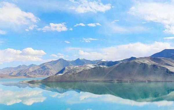 Affected by Altitude: Open the Door, Get on the Salary Floor, Everybody Walk the Dinosaur