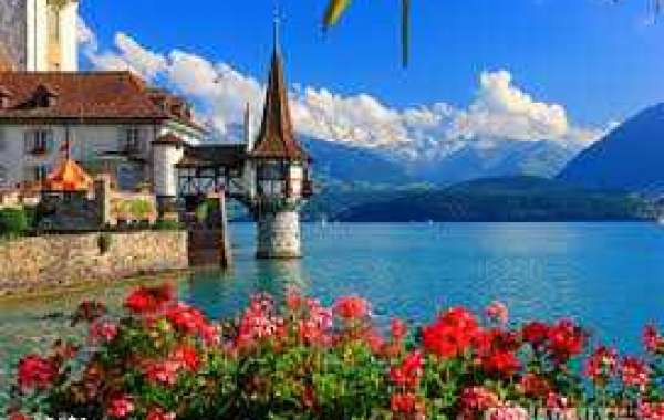 Reds strike 5 homers, increase Rockies' highway woes with 11-5 earn