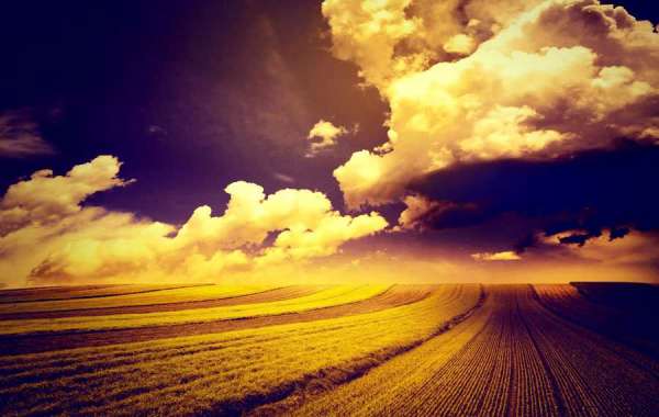 Steve Sarkisian content with his features at QB