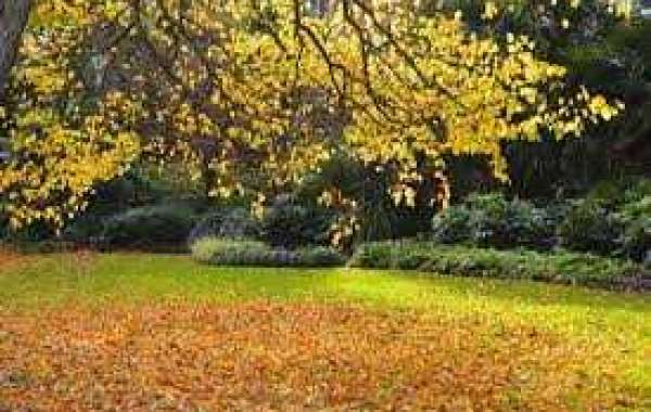 Oklahoma Sooners Soccer: Ominous signs or symptoms for the Significant 12 foreseeable future