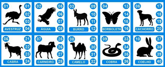 Jogo do Bicho - Resultado do Jogo do Bicho | Atualizado