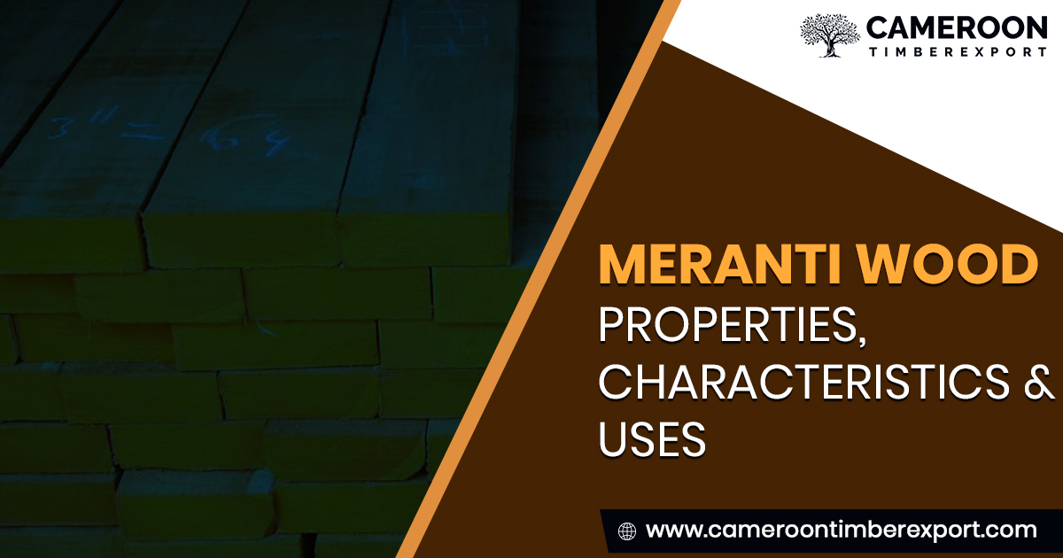 Meranti Wood: Properties, Characteristics & Uses In Detail