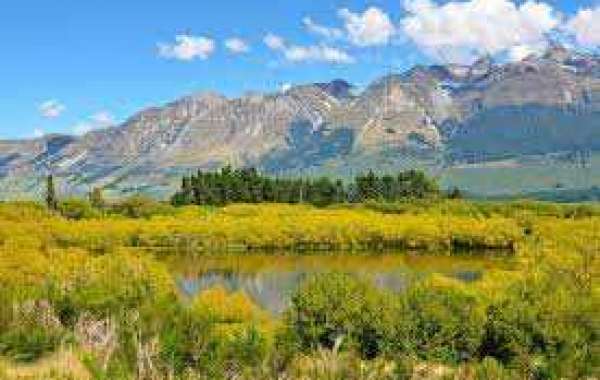 MLB Reportedly Speaking about Clean Streaming Provider for 2023