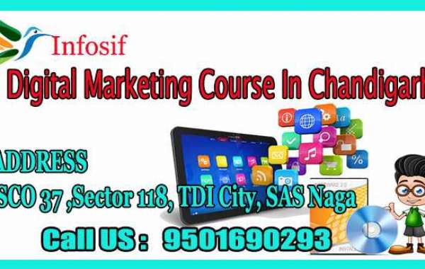 DIGITAL MARKETING COURSE CHANDIGARH | INFOSIF
