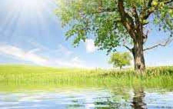 Canadiens employ the service of large 2nd period of time in direction of combat slumping Blues 5-2