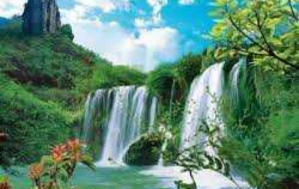 NETS 2021: Previewing the Milwaukee Dollars with Kyle Carr of Brew Hoop