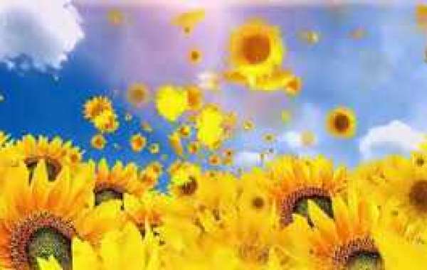 Jets Have Hired John Beck to Coaching Staff