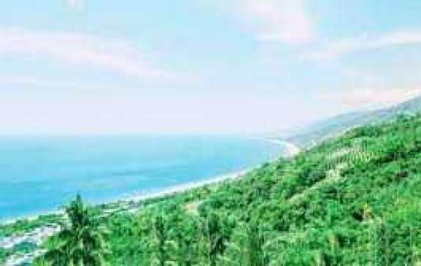 Giants vs. Saints predictions: BBV workforce not constructive