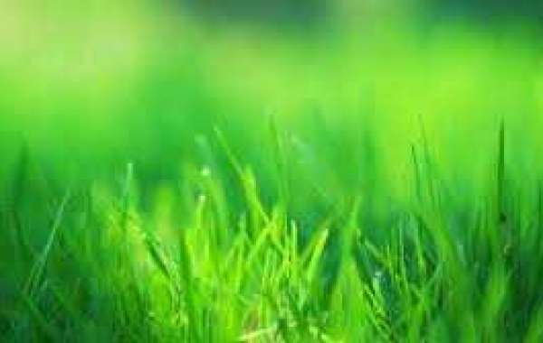 Detroit Lions looking into exchange choices for Jamie Collins