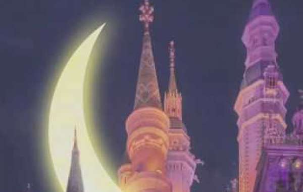 Michigan Place formally hires Marco Coleman as defensive line prepare and work video game coordinator