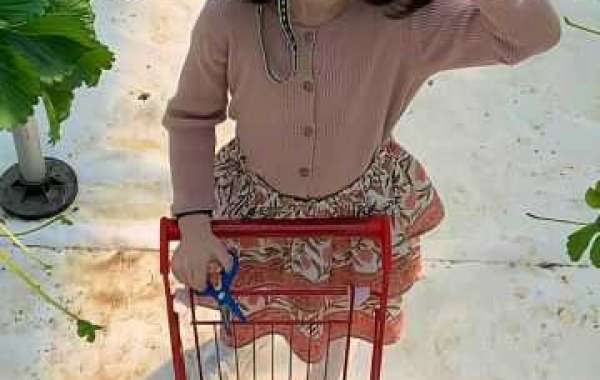 Texas baseball state-of-the-art figures up grade