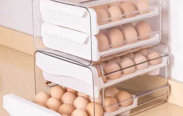 Plastic Storage Containers with Lids, Clear Egg Container Company - Folomie