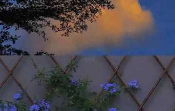 Notre Dame Men Basketball: Sophomore In advance Elijah Taylor Enters Move Portal