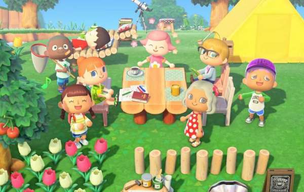An Animal Crossing: New Horizons participant shared