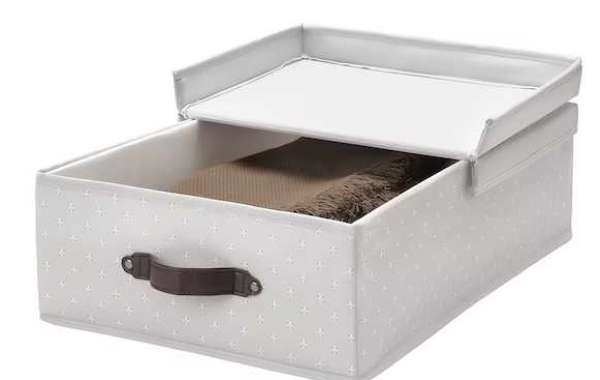 Folomie Closet Storage Boxes with Lids - Clear Window Design