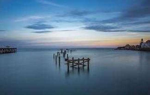 Each day Dawg Chow: Browns information