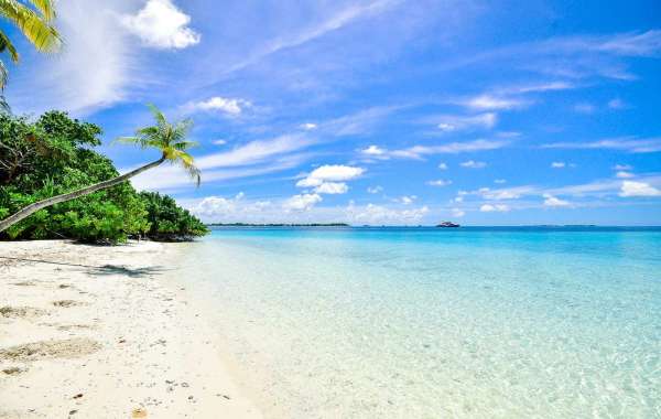 Davey Martinez upon Keibert Ruiz displaying Juan Soto enjoy; Luis Garca remaining working day-in direction of-working da