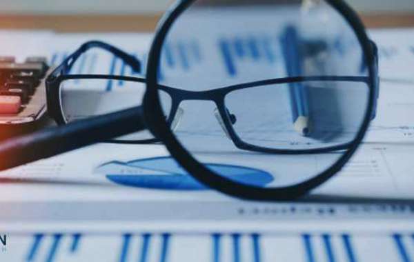 Alternative Proteins Market: An In-Depth Look at the Current State and Future Outlook