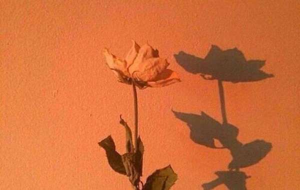 All the hottest versus the SCN household of Pittsburgh Steelers reveals