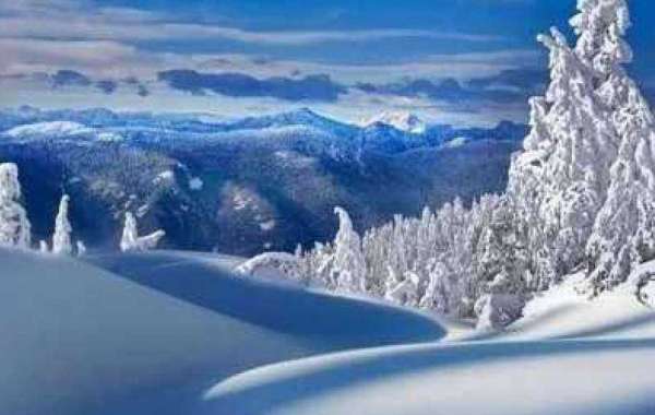 Damar Hamlin progress, Packersprospective playoff circumstances