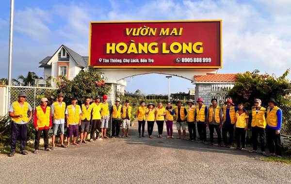 Thủ phủ mai vàng miền Trung