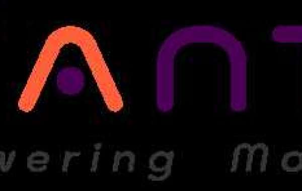 Sianty Unveils User-Friendly Garage Management Software for Automotive Workshops