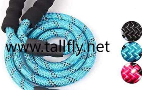 Smart Pull Alerts: Training Tech for Reactive Urban Dogs