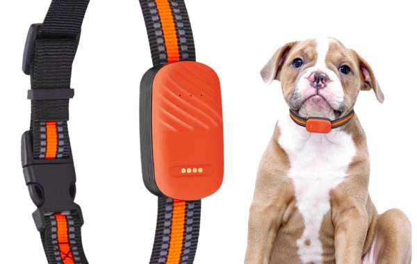 How Pawtechpet's Pet Tracker Makes Pet Care Easier?