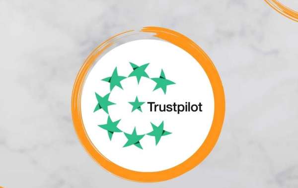 How to Leverage Negative Trustpilot Reviews for Market Insights