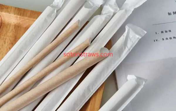 Inside Soton’s Paper Straws Manufactory: Quality Meets Sustainability