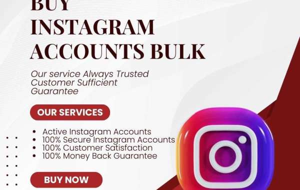 Get Ahead of the Competition: Purchase Instagram Accounts in Bulk