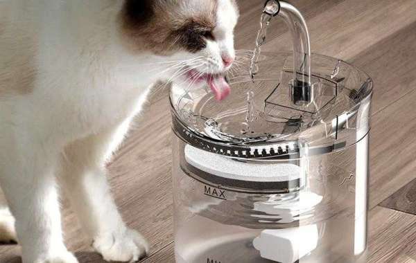 Pawtechpet Cat Water Fountain Enhancing Comfort and Wellness