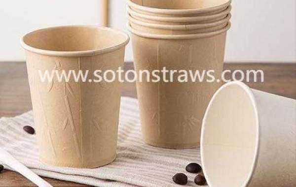 Eco-Friendly Beverage Solutions Through Soton Straws Cups