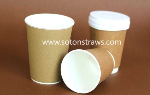 Soton Straws Promotes Eco-Conscious Living With Disposable Cups