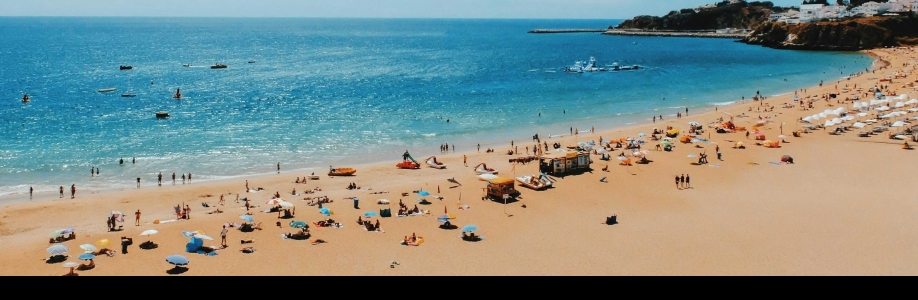 Perfect Holidays Cover Image