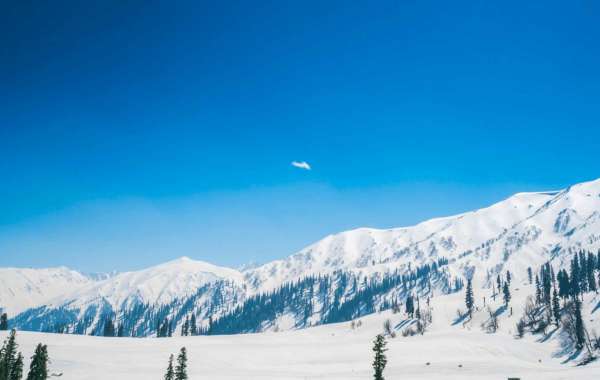 Best Time to Visit Kashmir for Snow – A Complete Guide