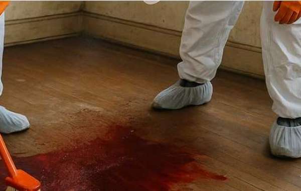 After Death Cleaning Services Canada – SpecialistHygiene